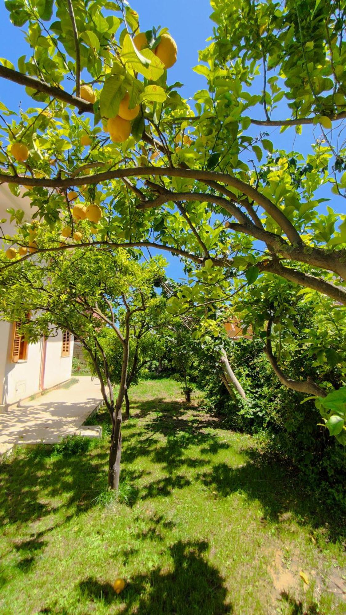Sofia Appartement *